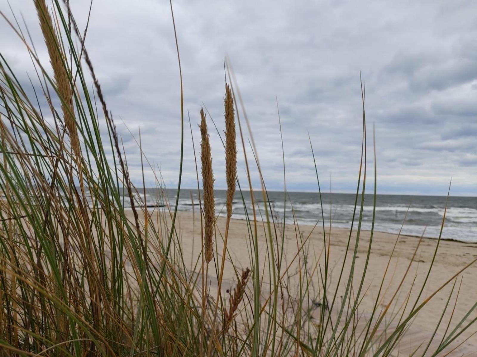 Ostsee Ferienhaus Usedom Hundefreundlich Familie Stopp Haus 22 Lutow Esterno foto